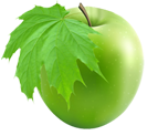 MapleApple