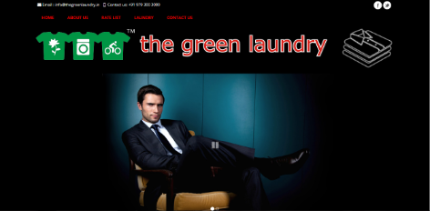 thegreenlaundry